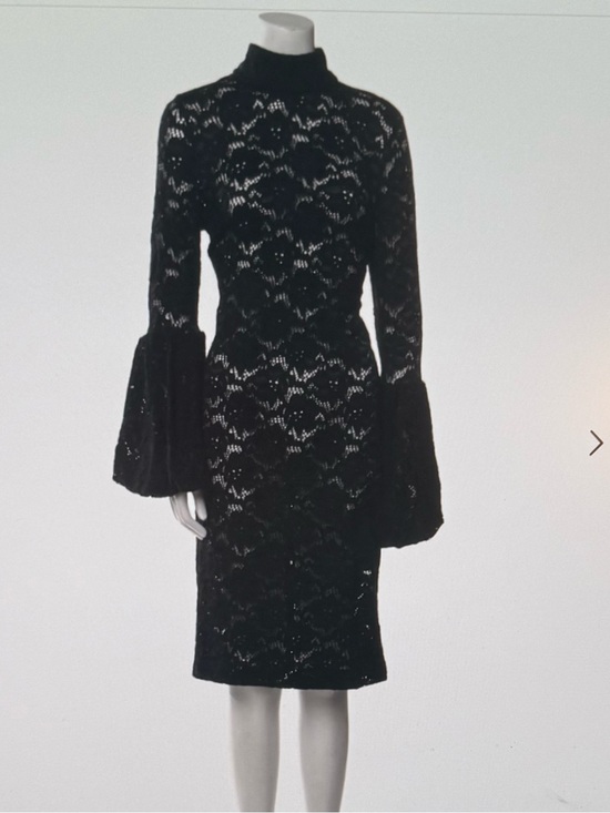 Anne Fontaine Dresses & Skirts - Anne Fontaine, Black Lace Long-Sleeve Midi Dress with Bell Cuffs sz 6 or 38